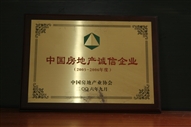 B1、中國(guó)房地產(chǎn)誠(chéng)信企業(yè)2005—2006年